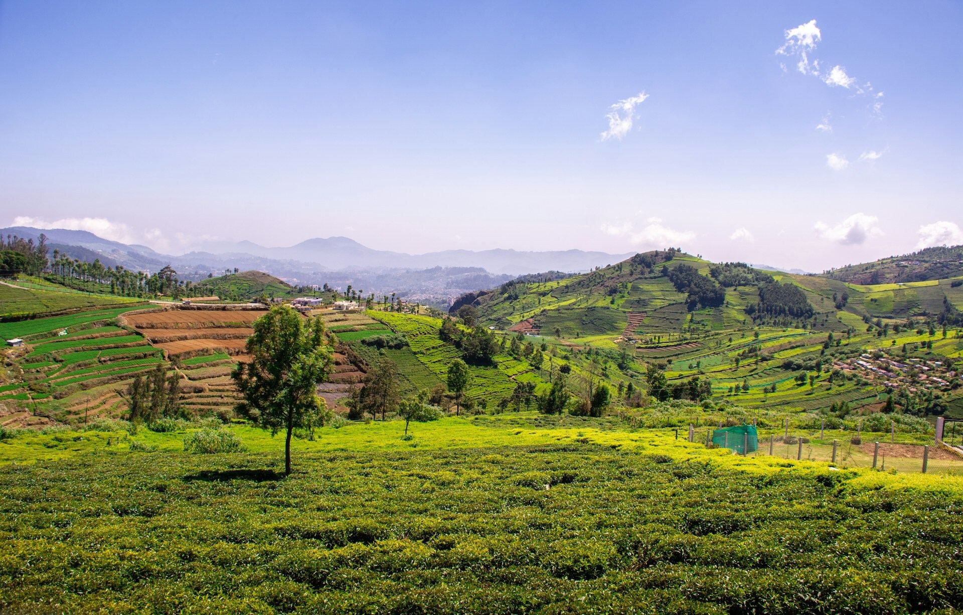 Coonoor — available colonial bungalow